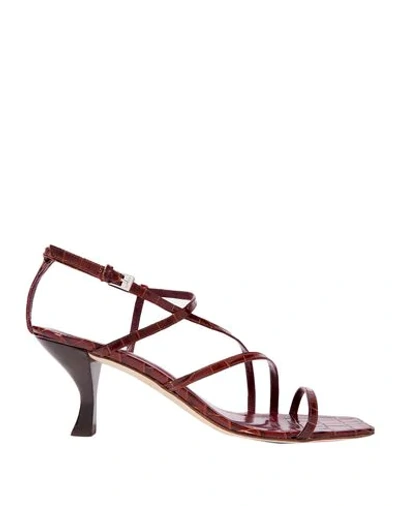 Shop Staud Sandals In Cocoa