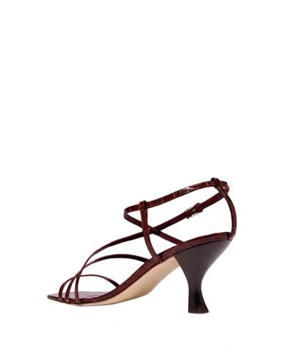 Shop Staud Sandals In Cocoa