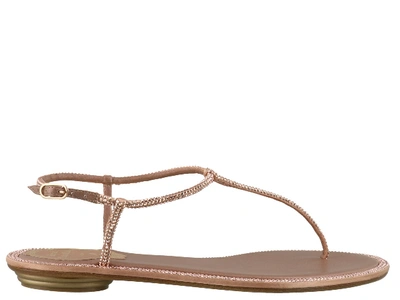 Shop René Caovilla Diana Flat Sandals In Pink