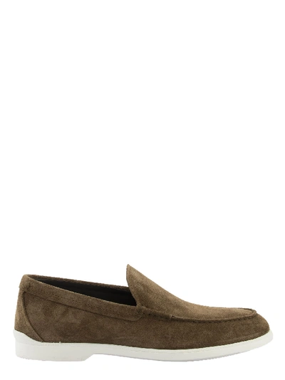 Shop Tod's Loafers In Suede In Brown