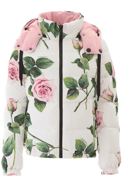 Shop Dolce & Gabbana Reversible Puffer Jacket In Rose Rosa Fdo Panna (pink)