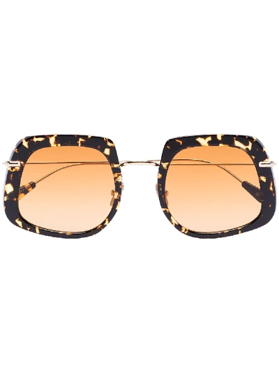 Shop Kaleos Brown Barton Havana Square Sunglasses In Black