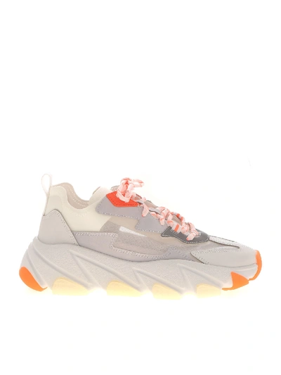 Shop Ash Eclipse Bis Sneakers Grey And Orange In White