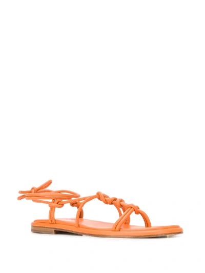 Shop Hereu Fermada Knotted Sandals In Orange