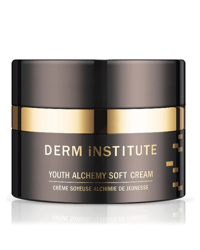 Shop Derm Institute 1 Oz. Youth Alchemy Soft Cream