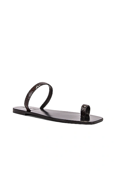 Shop A.emery Kin Sandal In Mocha Snake