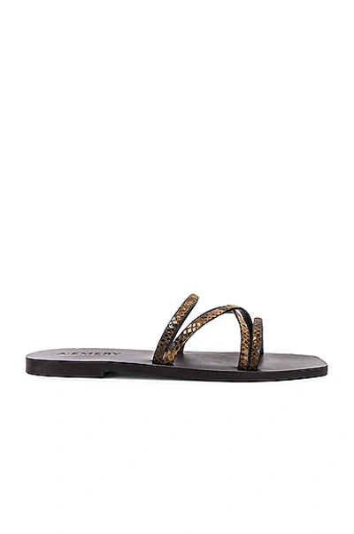 Shop A.emery Riley Sandal In Caramel Snake