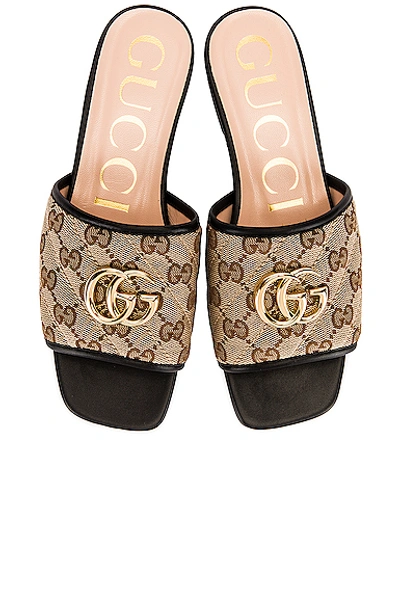 Shop Gucci Jolie Slides In Beige Ebony & Nero