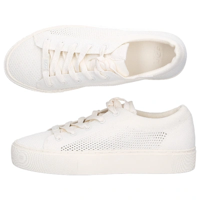 Shop Ugg Low-top Sneakers Zilo Knt In White