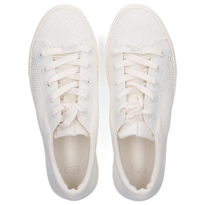 Shop Ugg Low-top Sneakers Zilo Knt In White