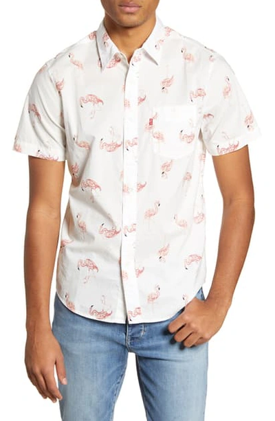 Levi's Sunset Regular Fit Flamingo Print Short Sleeve Button-up Shirt In  Flamingotos | ModeSens
