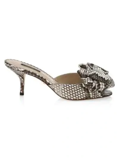 Shop Dolce & Gabbana Keira Bow Python Peep-toe Mules In Roccia