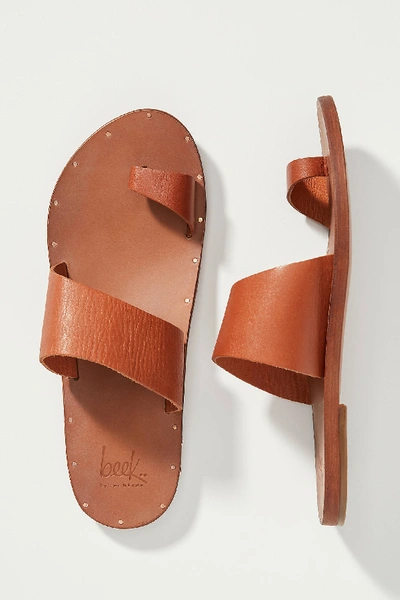 Shop Beek Finch Sandals In Brown