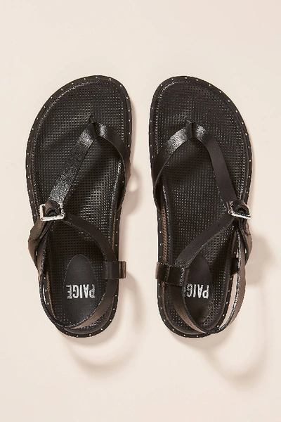 Shop Paige Zuri Sandals In Black