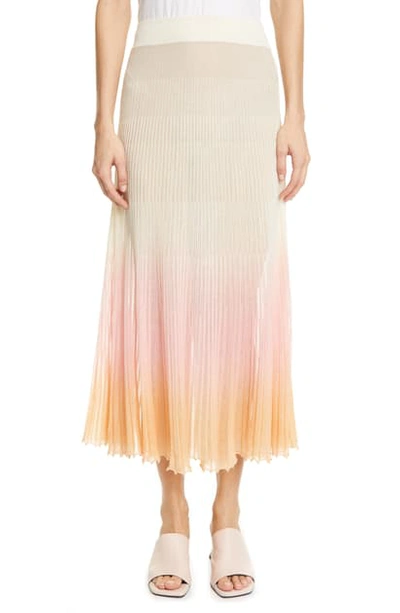 Shop Jacquemus Helado Pleated Ombre Maxi Skirt In Faded Pink