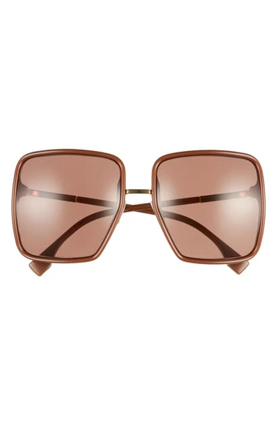 Shop Fendi 59mm Angular Sunglasses In Brown/ Brown