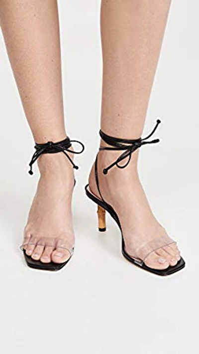 Dailyn Sandals