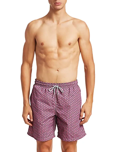 Shop Saks Fifth Avenue Collection Lion Swim Trunks In Pink Navy