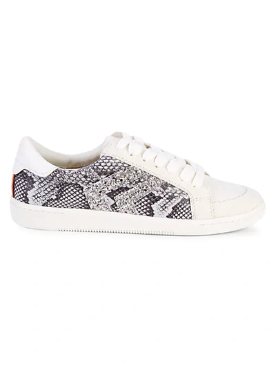 Shop Dolce Vita Noe Snakeskin-print Sneakers In Snake Print