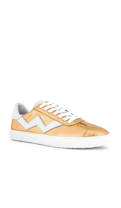 Shop Stuart Weitzman Daryl Sneaker In Rose Gold