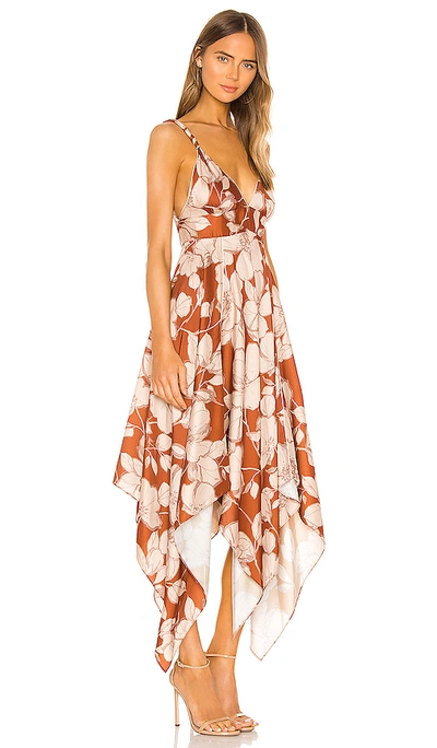 Shop Alexis Gaiana Dress In Sand Floral