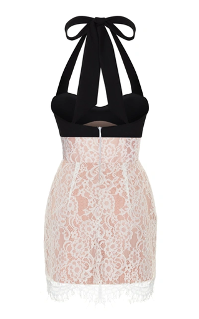 Shop Rasario Stretch-crepe And Lace Halterneck Mini Dress In Black/white