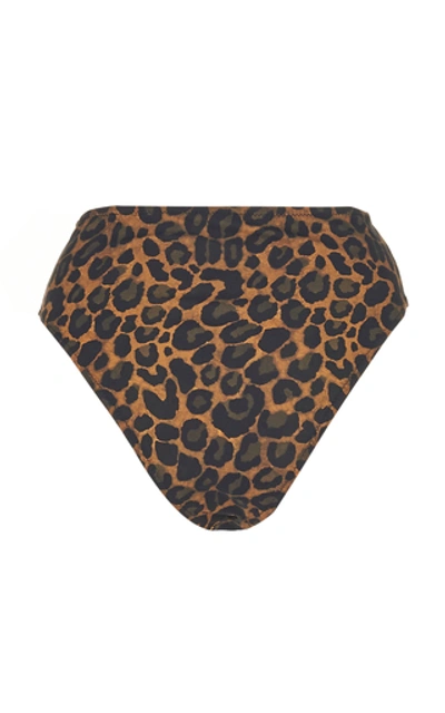 Shop Fisch Public Leopard Print Bikini Bottom In Animal