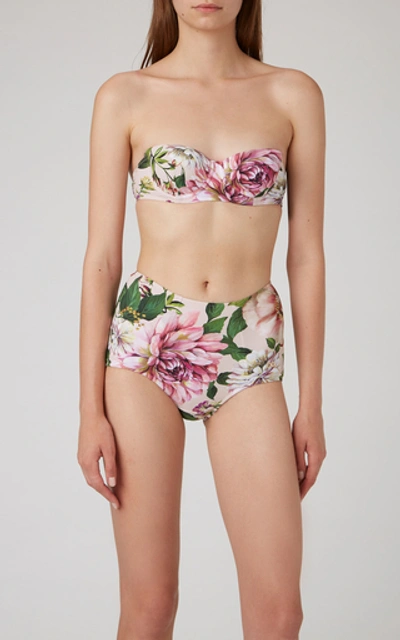 Shop Dolce & Gabbana Floral-print High-rise Bikini Bottoms