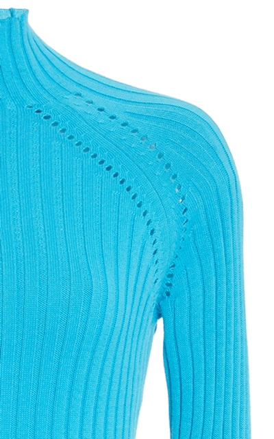 Shop Anna Quan Blake Ribbed Cotton Turtleneck Sweater In Blue