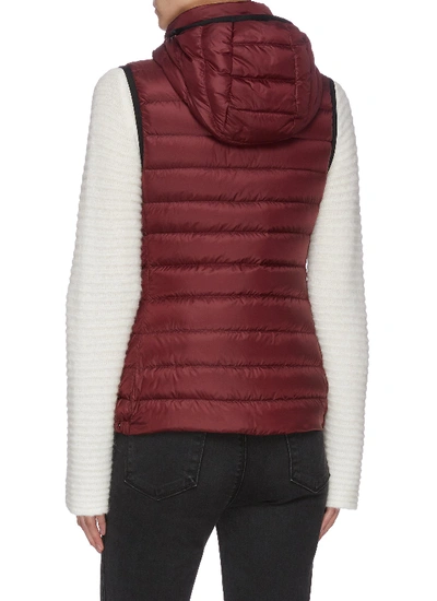 Shop Moncler 'glycine' Hooded Puffer Zip-up Vest In Red