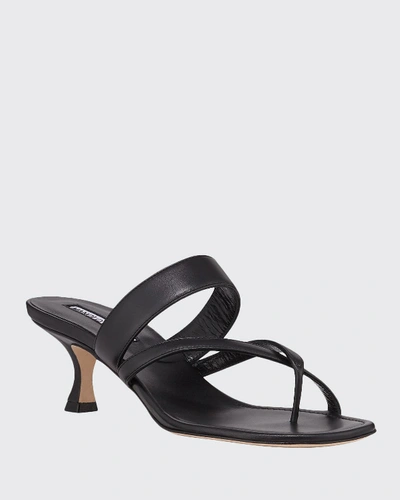 Manolo Blahnik Black Susa Mules In Black