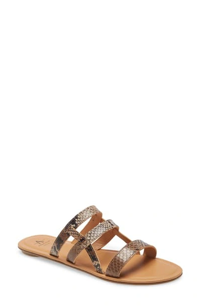 Shop Aquatalia Abigayle Sandal In Brown Snake Print