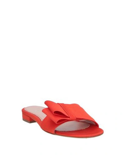 Shop Liviana Conti Sandals In Orange