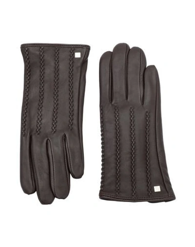 Shop Lauren Ralph Lauren Gloves In Dark Brown