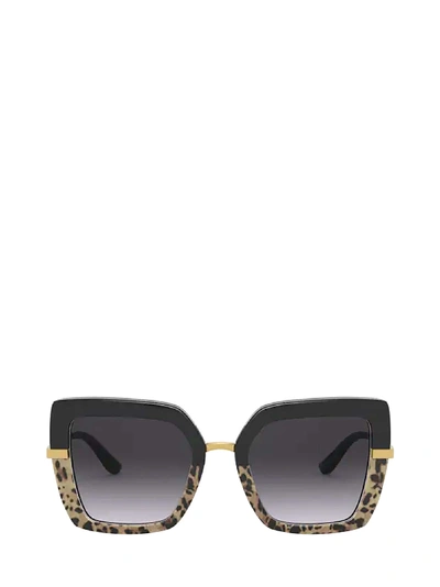 Shop Dolce & Gabbana Dg4373 Top Black On Print Leo / Black Sunglasses In 32448g