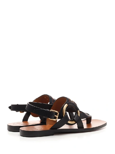 Shop Chloé Thong Flat Sandals In Black