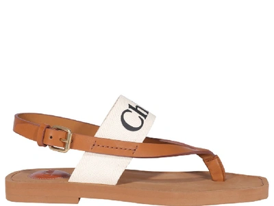 Shop Chloé Logo Strap Sandals In Brown