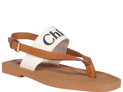 Shop Chloé Logo Strap Sandals In Brown