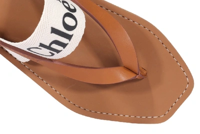 Shop Chloé Logo Strap Sandals In Brown