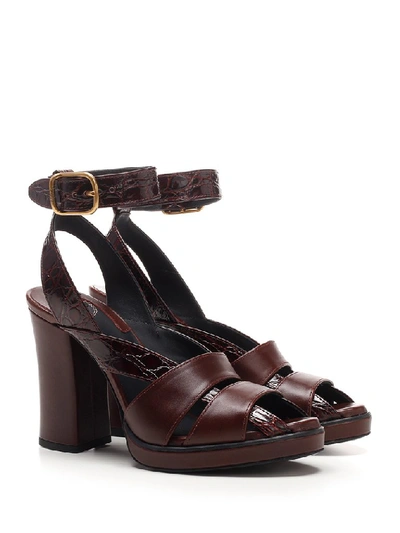 Shop Chloé Daisy High Heel Sandals In Brown