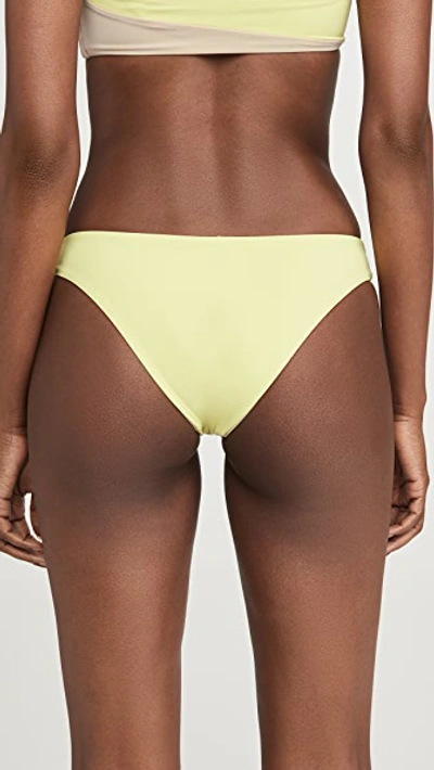 Shop Tavik Jaclyn Bikini Bottoms In Sunny Lime