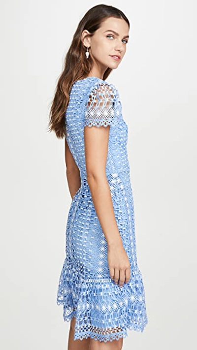 Shop Temperley London Bamboo Lace Mini Dress In Sky