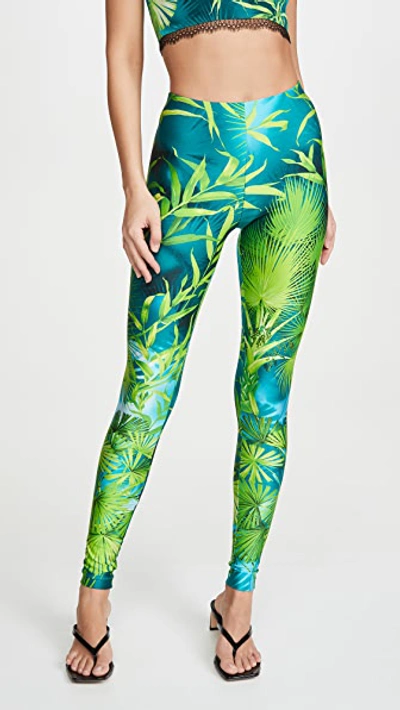 Shop Versace Palm Print Leggings In Verde & Stampa