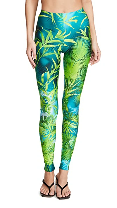 Shop Versace Palm Print Leggings In Verde & Stampa