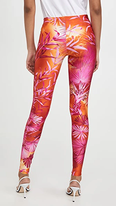 Shop Versace Palm Print Leggings In Fuchsia/arancio