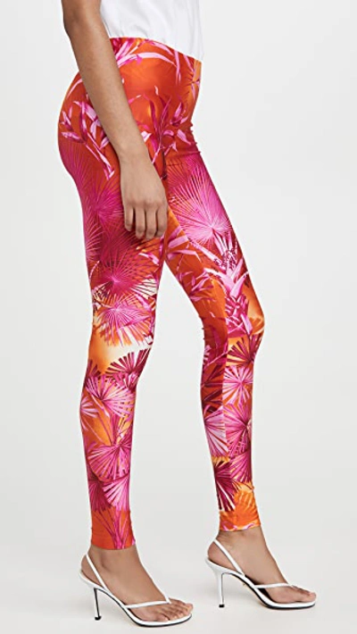 Shop Versace Palm Print Leggings In Fuchsia/arancio
