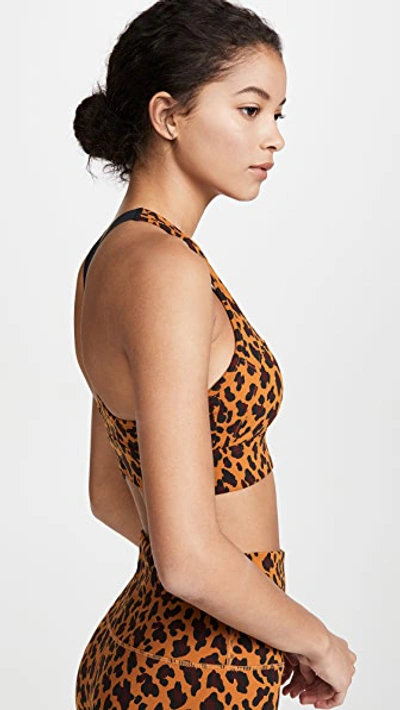 Shop Varley Bassett Bra In Cheetah