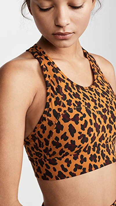 Shop Varley Bassett Bra In Cheetah