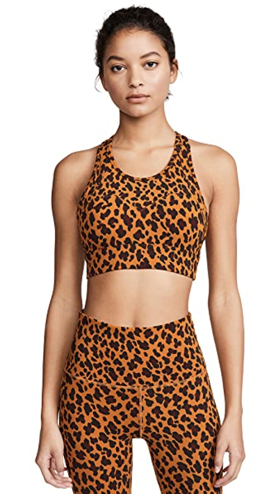 Shop Varley Bassett Bra In Cheetah