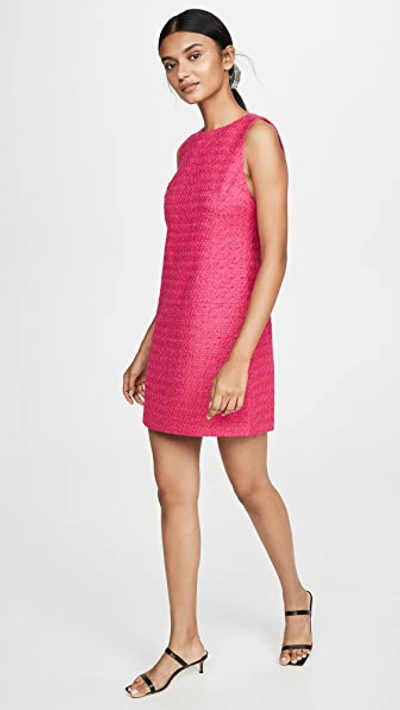Shop Alice And Olivia Clyde A-line Shift Dress In Bright Pink